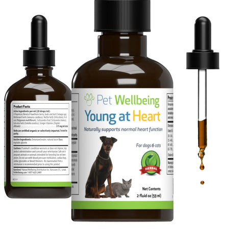 Pet Wellbeing Young at Heart for Dogs - Vet-Formulated - Supports Heart (Cardiovascular) Health - Natural Herbal Supplement 2 oz (59 ml)