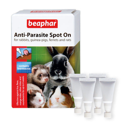 Beaphar - Anti-Parasite Spot-On - For Rabbits, Guinea Pigs, Ferrets, & Rats Weighing Over 300 g - Kills Lice, Mice, Fleas, & Roundworms - Vet Strength Treatment - 4 Pipettes