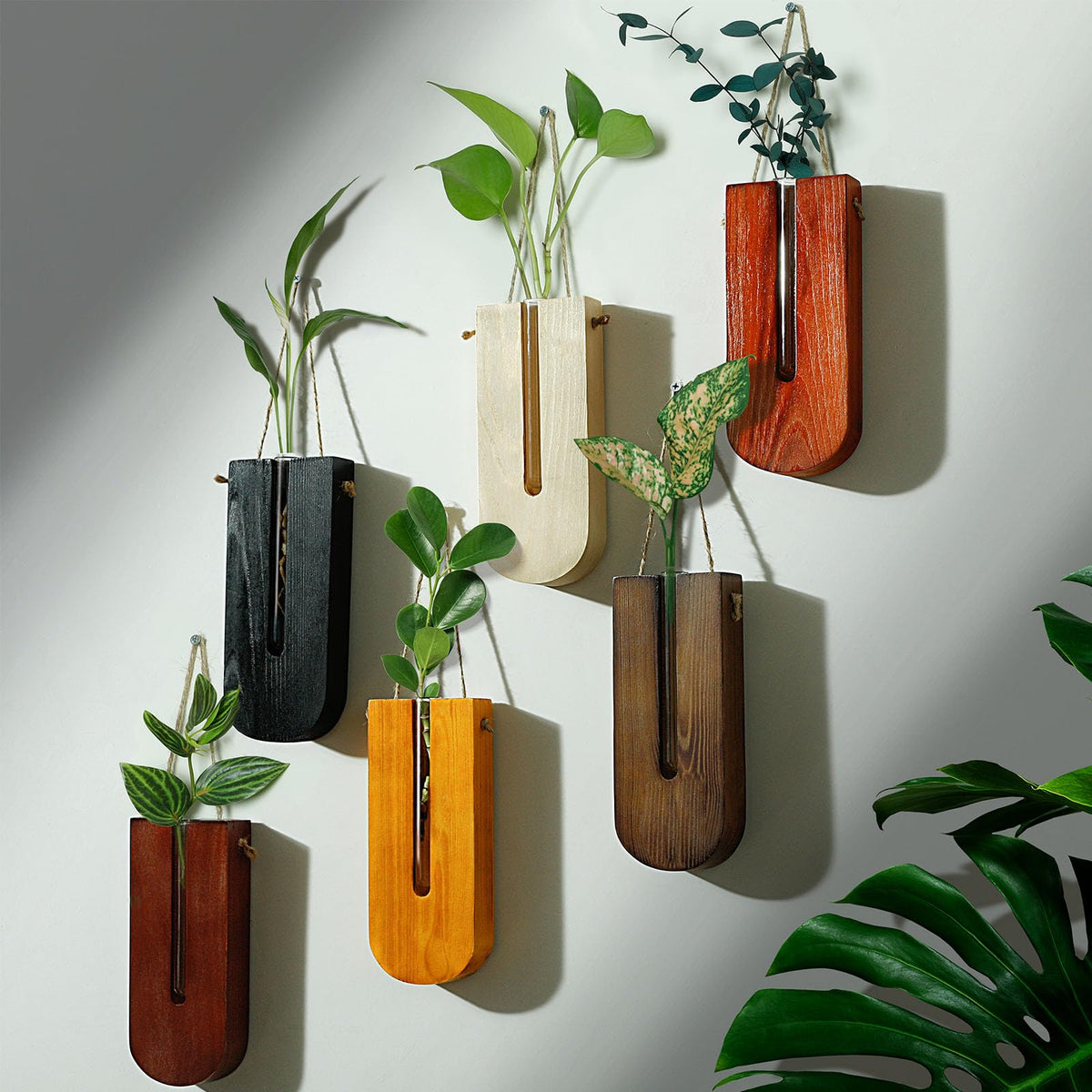 saiguomi 6 Pack Wall Planters for Indoor Plants, Wooden Hanging Planter, Propagation Station, Wooden Pocket Vase, Wood Wall Decor for Living Room Bedroom Bathroom