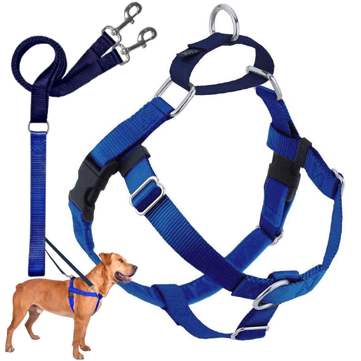 2 Hounds Design 859131002656 No-Pull Dog Harness with Leash, Medium (5/8 Inch Wide), Royal Blue