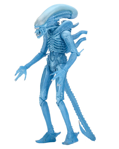 NECA Aliens 7" Scale Series 11 Blue Warrior Action Figure