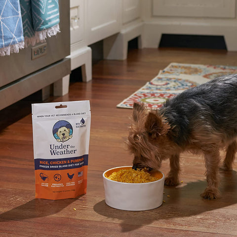 Under the Weather Easy to Digest Bland Diet for Sick Dogs - Always Be Ready - Contains Electrolytes - Gluten Free, All Natural, Freeze Dried 100% Human Grade Meats - Chicken, Rice & Pumpkin