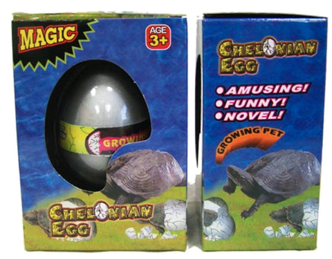 2 Novelty Growing Pet Turtle Hatching Eggs