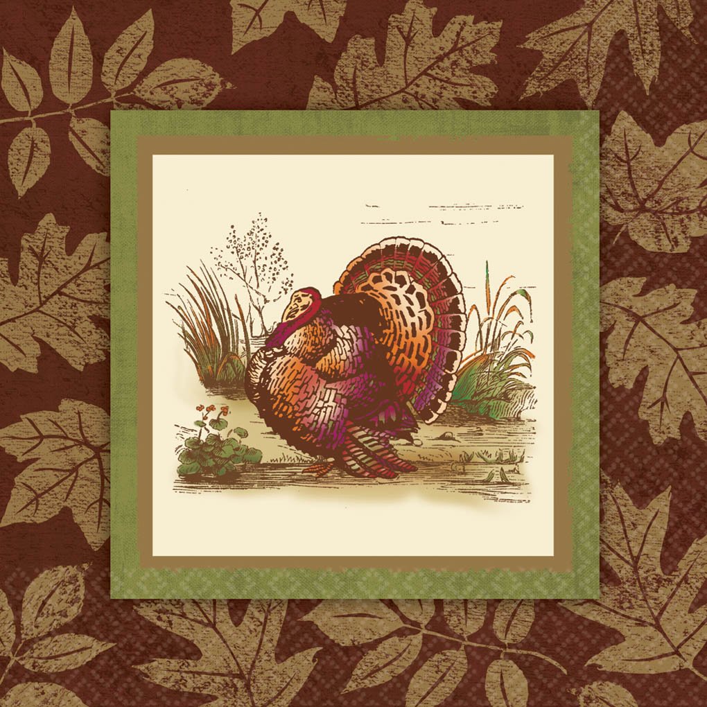 Thanksgiving Sophistication Banquet Napkins 16 ct Thanksgiving Party Supply
