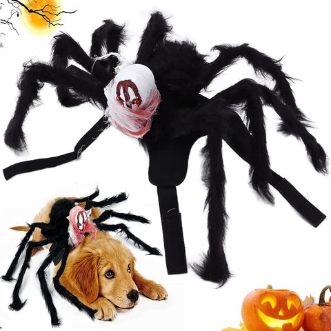 Halloween Spider Costumes for Dogs, Halloween Spider Costume for Dog Cat, Dog Costume Halloween Cat, Spider Costume for Small, Medium Dogs and Cats (S)