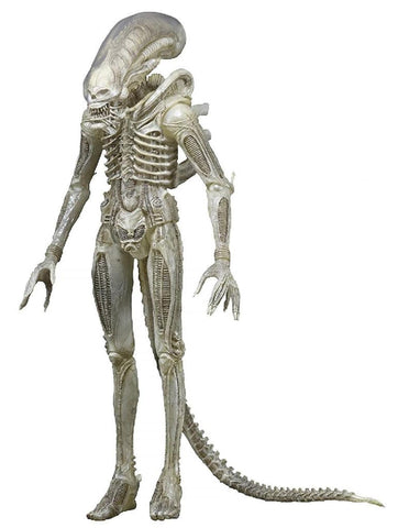 NECA - Alien - 7â€ Scale Action Figure - 40th Anniversary Asst 1 Big Chap (Concept)