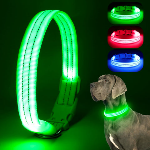 Chalklit Light Up LED Dog Collar, USB Rechargeable Waterproof Reflective Adjustable Flashing Dog Collar Lighted, Glowing in the Dark for Small Medium Large Dogs Night Safety Walking(Medium, Green)