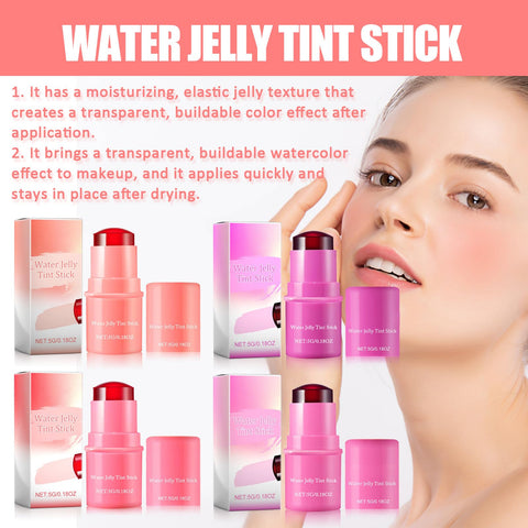 4 Pcs Cooling Water Jelly Tint Blush Stick,Multi-Use Cheek and Lip Stain-Chill,Water Jelly Blush Lip Gloss,Creates A Moist Watercolor Effect-1,000+ Swipes Per Stick Vivid Color