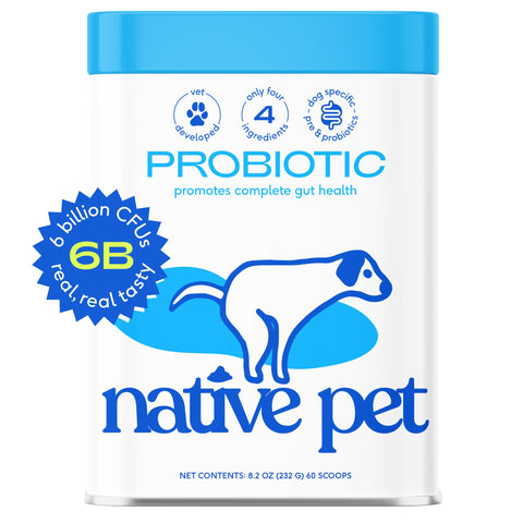 Native Pet Vet Created Probiotic Powder for Dogs Digestive Issues - Dog Probiotic Powder + Prebiotic + Bone Broth - 232 Gram 6 Billion CFU- Probiotics Dogs Will Love! (8.2 oz)