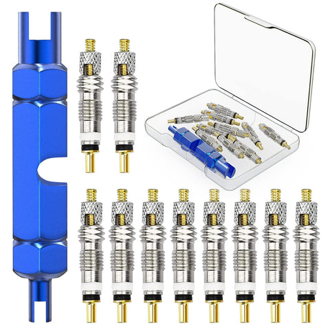 Flintronic Presta Valve Cores, 11PCS Bicycle Presta Valve Remover Tool Kit for Universal Road Bike and Mountain Bicycles, Replacement Presta Valve Core Replacement Set Includes Extender Wrench