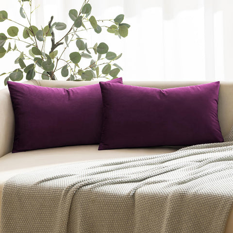 ANRODUO Pack of 2 Velvet Purple Throw Pillow Covers Decorative Pillow Covers Euro Cushion Case Soft Solid Lumbar Cozy Modern Home Decorations Pillowcase for Sofa Couch Bed Fall Room Decor 12x20 Inch