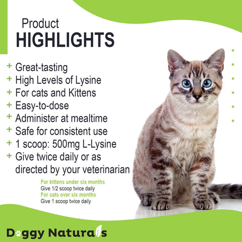 Trulysine L-Lysine for Cats Immune Support Oral Powder 4oz/100g - Cats & Kittens of All Age, Sneezing, Runny Nose Squinting, Watery Eyes - Fish & Poultry Flavor (U.S.A)(100 Grams ( 500mg / Scoop))