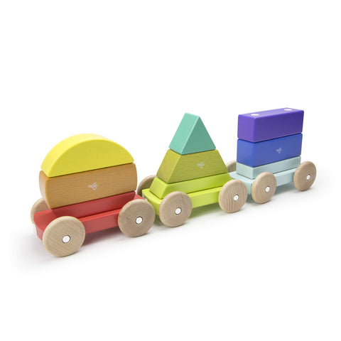 9 Piece Tegu Magnetic Shape Train Building Block Set, Rainbow