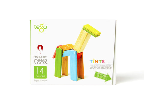Tegu 14 Piece Magnetic Wooden Block Set in Tints