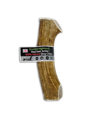 Scottish Deer Antler Dog Chews - Naturally Shed, Long Lasting, 100% NaturalÃƒÆ’Ã†â€™Ãƒâ€šÃ‚Â¢ÃƒÆ’Ã‚Â¢ÃƒÂ¢Ã¢â€šÂ¬Ã…Â¡Ãƒâ€šÃ‚Â¬ÃƒÆ’Ã¢â‚¬Å¡Ãƒâ€šÃ‚Â¦ (Deer Antler Chew Extra Large 240-300g)
