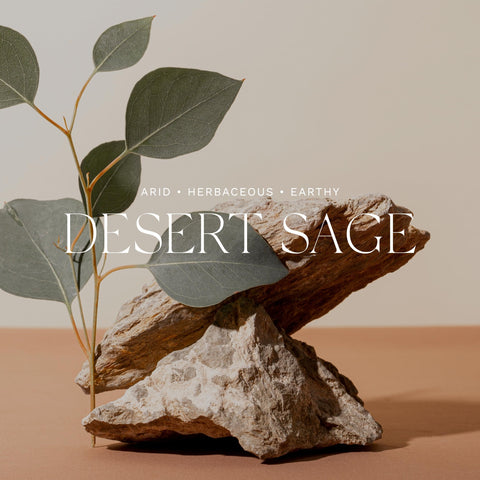 Antica Farmacista Diffuser Desert Sage, 16.9 Fl Oz