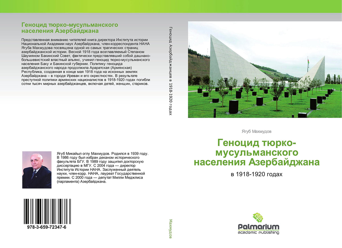 ??????? ?????-?????????????? ????????? ????????????: ? 1918-1920 ????? (Russian Edition)