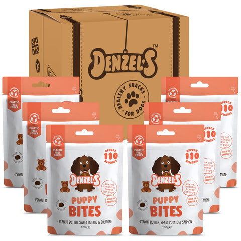 Denzel's All Natural Puppy Treats - Training Bites - Salmon & Peanut Butter (6 x 100g)