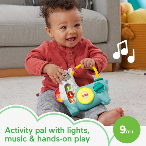 Fisher-Price FP Infant HNM92 Toy