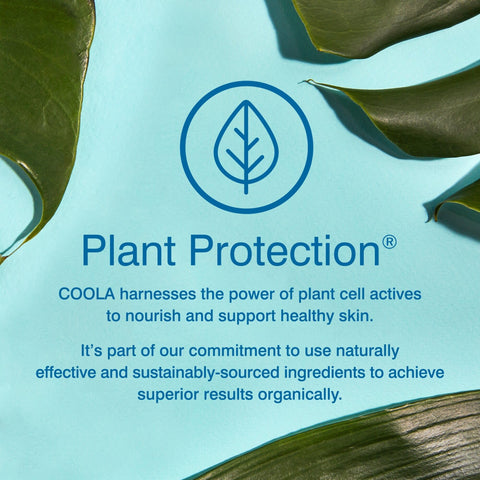 Coola Classic SPF 50 Body Sun Cream Spray, 70 Percent + Organic Sunscreen with Broad Spectrum UVA/UVB Protection, Reef Friendly and Vegan, Fragrance Free, 177 ml