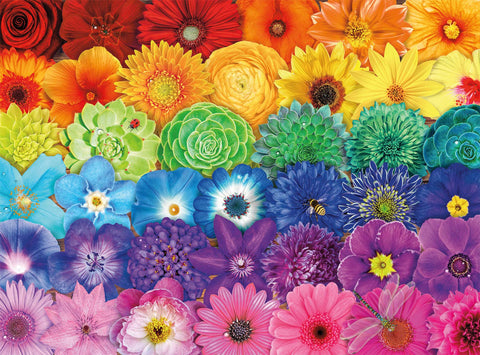 Buffalo Games - Blooms of Color - 1000 Piece Jigsaw Puzzle