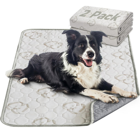 FXW Washable Pee Pads for Dogs, Super Absorbent Puppy Pads for Cages and Crates, 35" x 35", 2 Packs, Square
