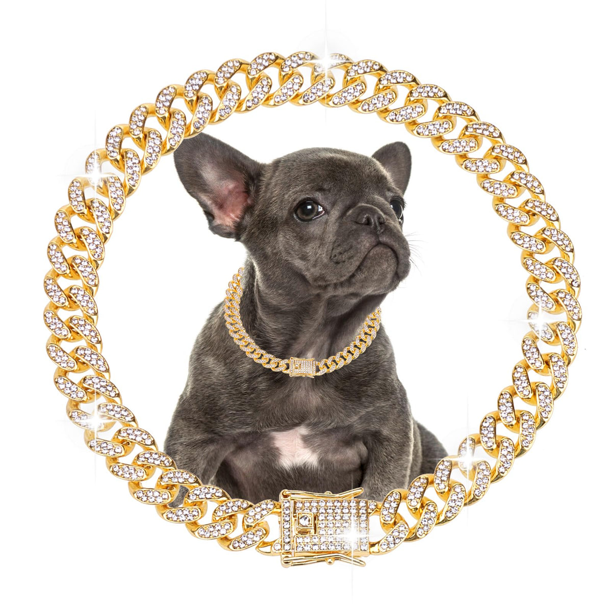 EXPAWLORER Dog Chain Collars - Cuban Link Dog Collar, Cute Bling Rhinestone Dog Necklace Collar with Buckle, Diamond Metal Heavy Duty Chain Dog Collar for Cats Puppies Dogs, Gold 14 inch