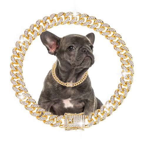 EXPAWLORER Dog Chain Collars - Cuban Link Dog Collar, Cute Bling Rhinestone Dog Necklace Collar with Buckle, Diamond Metal Heavy Duty Chain Dog Collar for Cats Puppies Dogs, Gold 14 inch