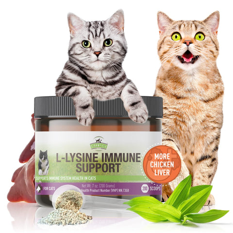 L-Lysine for Cats Supplement Powder Granules for Cat Cold, Sneezing, Congestion, Running Nose, Respiratory, Allergy Relief | Cats & Kittens of All Ages | Cat Health Supplies
