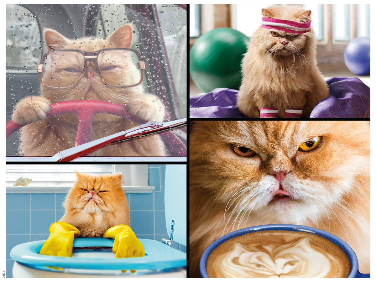 Ceaco - Cranky Kitties - Awesome Foursome - Oversized 300 Piece Jigsaw Puzzle
