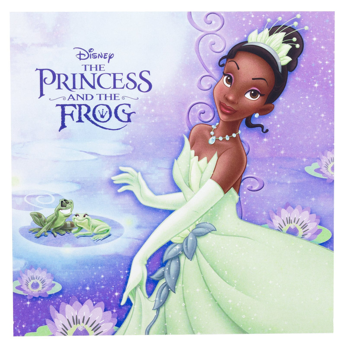 Disney Princess and the Frog Lunch Napkins (16)