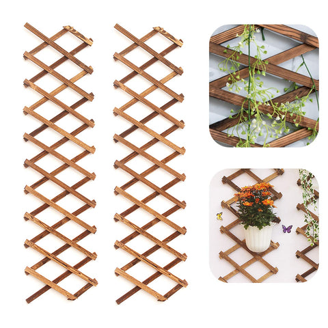 Iceyyyy Wood Lattice Wall Planter - 2Pack Expandable Hanging Wooden Planter Trellis Frame, Indoor Air Plant Vertical Rack Wall Decor for Room Garden