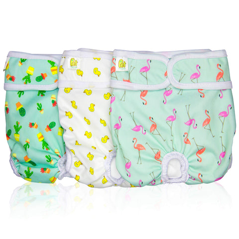 Reusable Dog Nappies - Sanitary Pet Diapers, Highly Absorbent, Machine Washable & Eco-Friendly, 3-Pack, Trending, Small