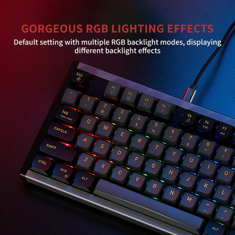 Hexgears I3 Mechanical Keyboard Kailh Box Switch RGB LED Backlit 87 Key Computer Keyboard with PBT Keycaps, Hot-swappable, Type-C Cable for Windows/Mac OS/Android