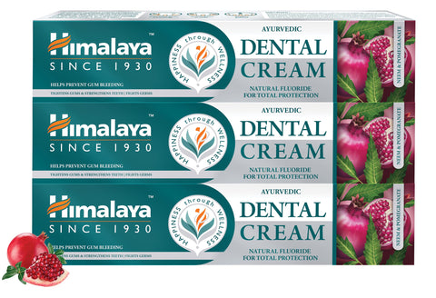 Himalaya Ayurvedic Dental Cream Herbal Toothpaste with Neem & Pomegranate, Protect Gums |Helps Fight Plague, Cavity |Natural Fluoride - 100g (Pack of 3)