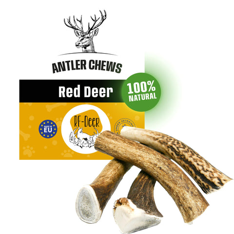 RF - Deer Set of Natural Antler Chews for Dogs | Bone Toy & Treat | Deer | Natural, Safe and Healthy Snack for your Dog | Hard | 5 pcs | MÃƒÆ’Ã†â€™ÃƒÂ¢Ã¢â€šÂ¬Ã…Â¡ÃƒÆ’Ã¢â‚¬Å¡Ãƒâ€šÃ‚Â | 255-350 g | 11-13 cm