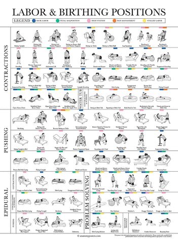 Labor Positions Poster - Birthing Positions Chart - Childbirth Education for Doula, Midwife or Birthworker - 18" x 24" - Laminated
