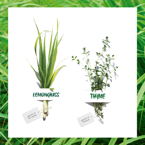 Garnier Organic Essentials Face Care & Cleanse Routine Set: Lemongrass Gel Face Wash, Hydrating Moisturiser & Purifying Thyme Toner for Healthy Glowing Skin - for Normal, Combination & Sensitive Skin