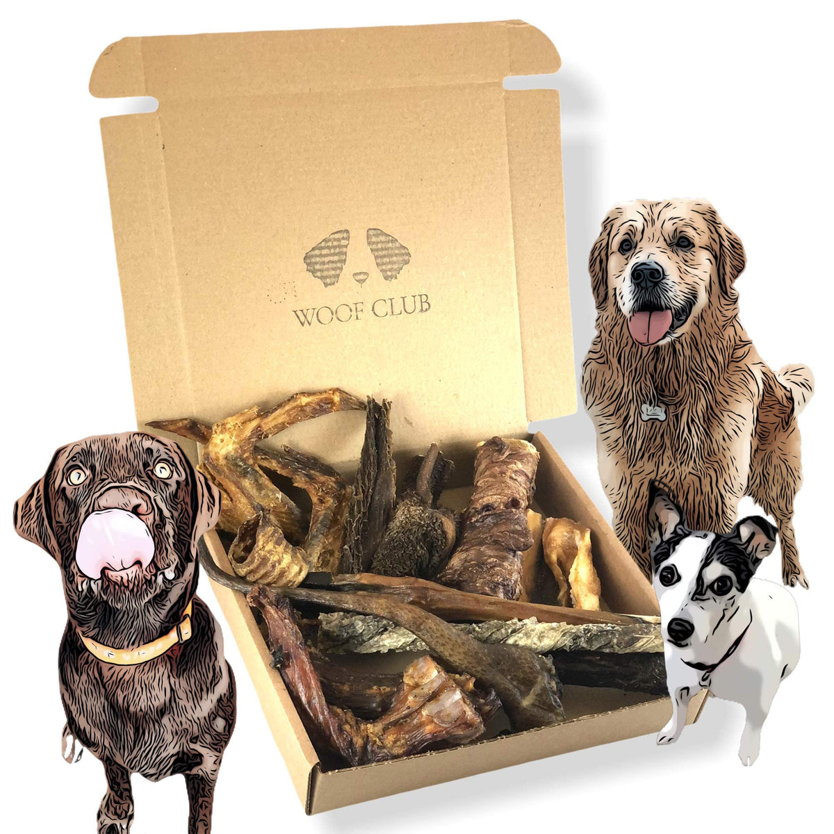 Woof Club Naturals CHUNKY Dog Treat Box PLUS 3 x XL King Pizzle, Super Thick! Grain Free