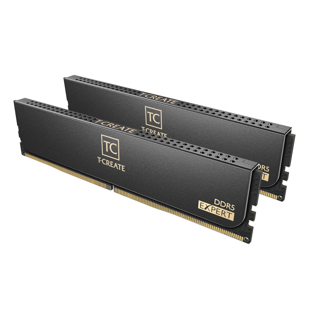 TEAMGROUP T-Create Expert Overclocking 10L DDR5 32GB Kit (2 x 16GB) 6000MHz (PC5-48000) CL38-46-46-76 Intel XMP 3.0 & AMD Expo Compatible Desktop Memory Module Ram Black - CTCED532G6000HC38GDC01
