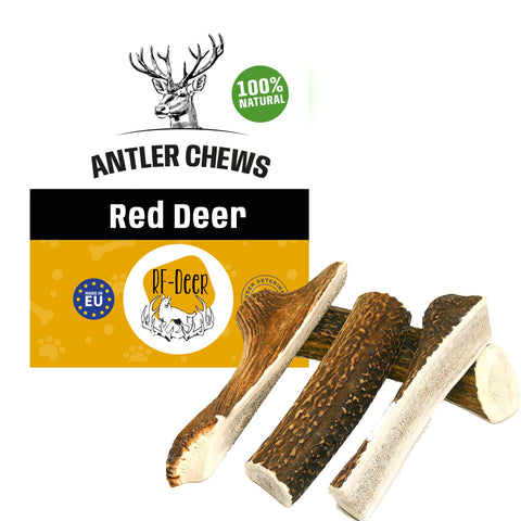 RF - Deer Set of Natural Antler Chews for Dogs | Bone Toy & Treat | Deer | Natural, Safe and Healthy Snack for your Dog | Soft | 5 pcs | XLÃƒÆ’Ã†â€™ÃƒÂ¢Ã¢â€šÂ¬Ã…Â¡ÃƒÆ’Ã¢â‚¬Å¡Ãƒâ€šÃ‚Â | 0,55-0,75 kg | 17-19 cm