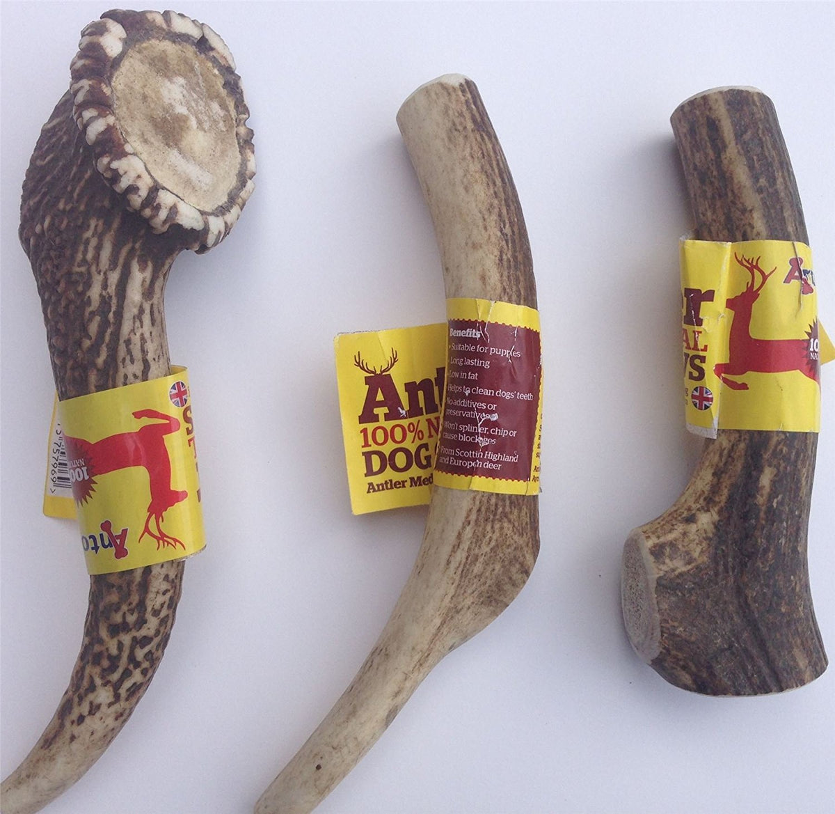 Antler XL size