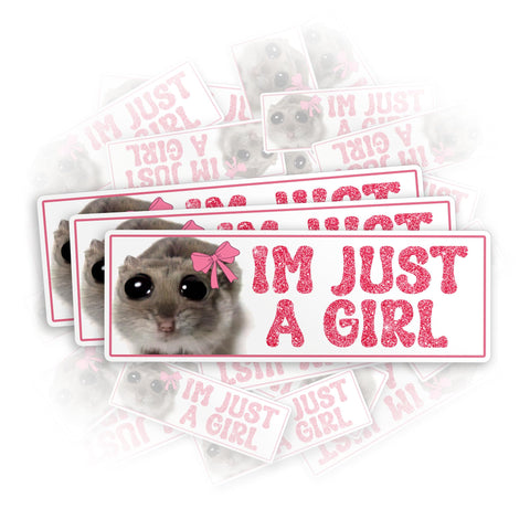 (3Pcs) I'm Just a Girl Sticker Funny Hamster Meme Sad Cute for Car 3" Die-Cut Waterproof Vinyl Sticker for Hard Hat Laptop Water Bottle Phone Kindle Decal Stuff Gifts for Her Him 3 Inches