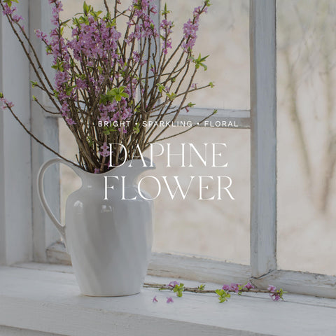 Antica Farmacista Home Ambience Diffuser, 15.3 Fl Oz