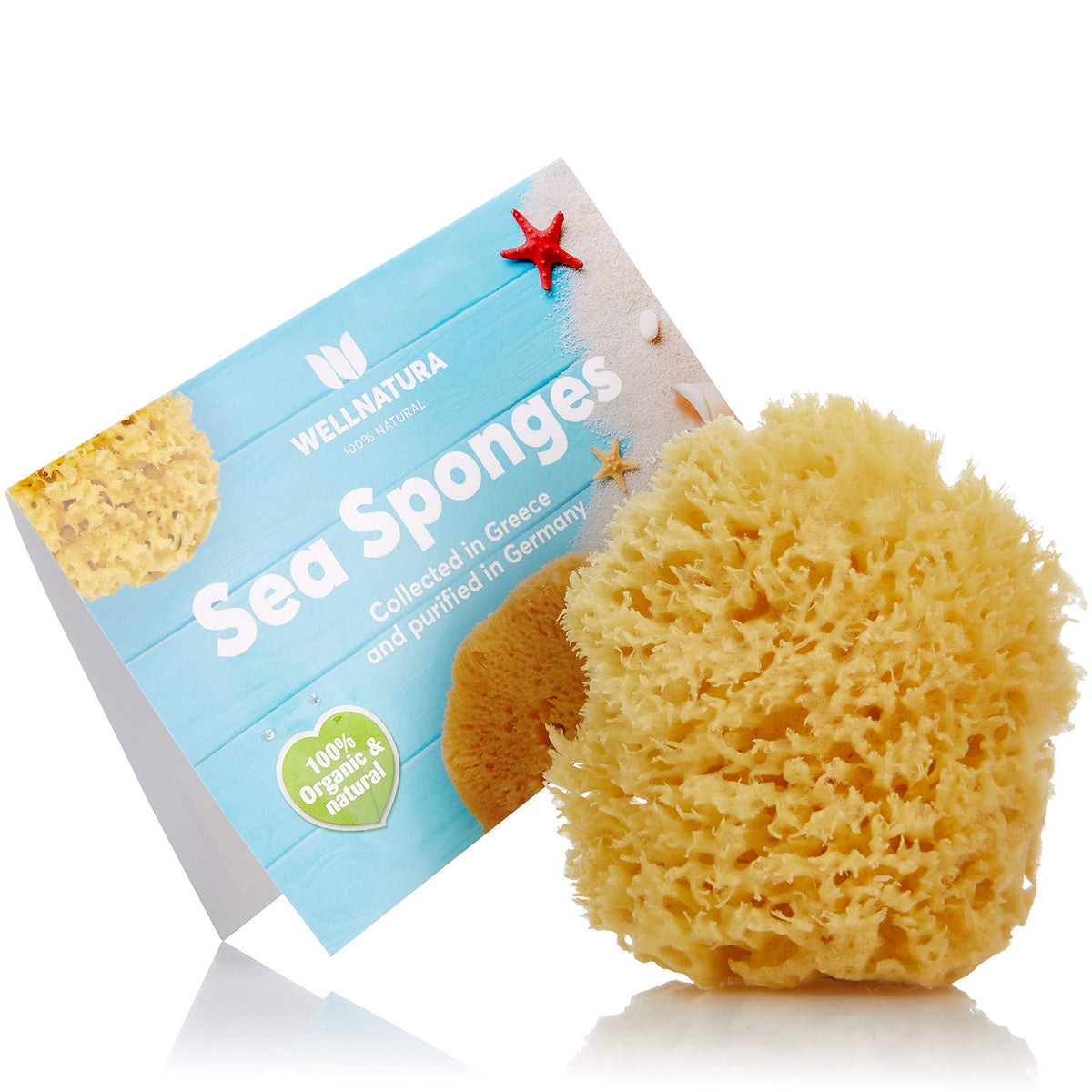 Sea Sponge for Bathing - 100% Natural - 4â€ (Large) - Soft, Sensitive and Eco-Friendly - Especially Suited for Adults - Natural Sponge, sea sponges for Bathing, Natural sponges for Bathing