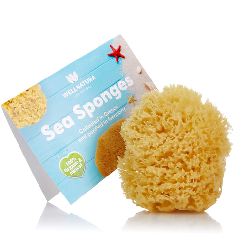 Sea Sponge for Bathing - 100% Natural - 4â€ (Large) - Soft, Sensitive and Eco-Friendly - Especially Suited for Adults - Natural Sponge, sea sponges for Bathing, Natural sponges for Bathing