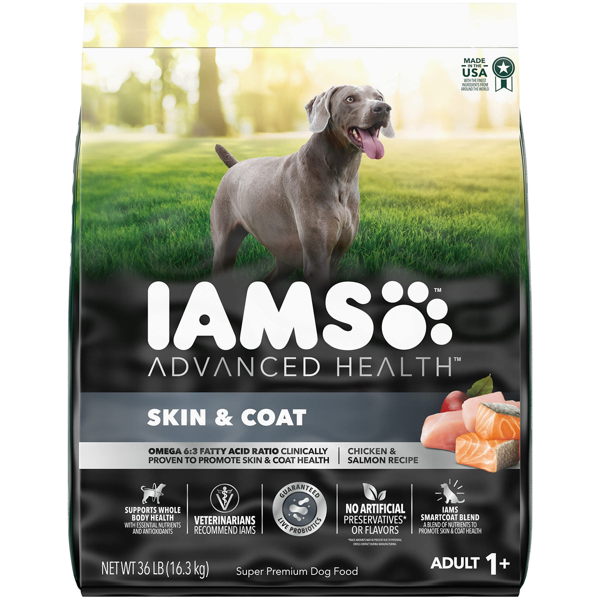 IAMS Advanced Health Skin & Coat Chicken and Salmon Recipe Adult Dry Dog Food, 13.5 lb. Bag