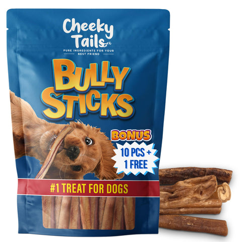 Bully Sticks for Small Dogs (Pack of 10) - All Natural - 6" Rawhide-Free Dog Chew Sticks Made in USA - High Collagen Dog Treats for Digestion & Dental Health, Puppies, Single Ingredient 100% Beef