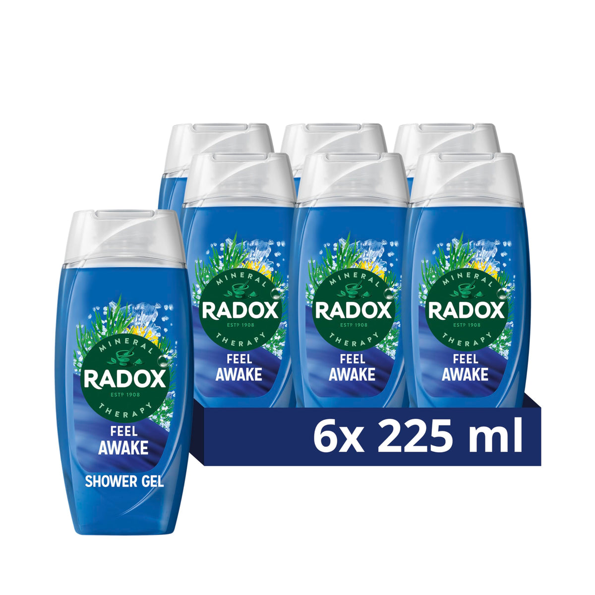 Radox Mineral Therapy Feel Awake Men 2in1 Shower Gel & Shampoo with Fennel & Sea Minerals - 225ml (Pack of 6)