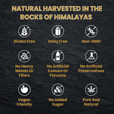 Shilajit Resin, Original Himalayan Shilajit 30g - Gold Grade 100% Pure, Rich in Fulvic & Humic Acid, Minerals, Immune System & Vitality Booster, Vegan (Pack of 1)